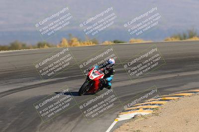 media/Dec-10-2023-SoCal Trackdays (Sun) [[0ce70f5433]]/Bowl Backside (1035am)/